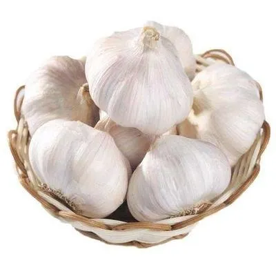 Normal White Garlic Normal White Garlic